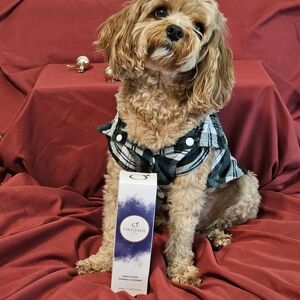 Origami Daily Glow Toning Cleanser - 5.07 fl Oz